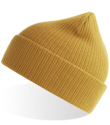 Atlantis_NELSON-Beanie_NELB_NELBMO_Mustard