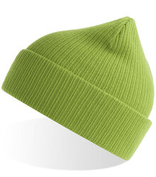 Atlantis_NELSON-Beanie_NELB_NELBVEFG_Leaf-Green