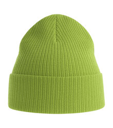 Atlantis_NELSON-Beanie_NELB_NELBVEFG_Leaf-Green_front