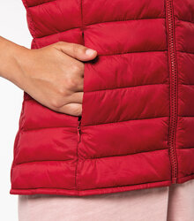 Native-Spirit_Ladies-lightweight-recycled-padded-bodywarmer_NS6006-8_2022