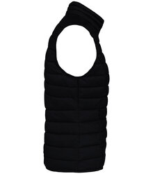 Native-Spirit_Ladies-lightweight-recycled-padded-bodywarmer_NS6006-S_BLACK