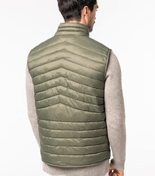 Native-Spirit_Mens-lightweight-recycled-padded-bodywarmer_NS6005-6_2022