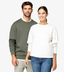 Native-Spirit_Unisex-EcoFriendly-Brushed-Fleece-Dropped-Shoulder-Sweatshirt_NS435-20_2024