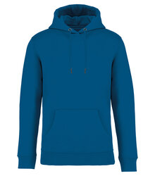 Native-Spirit_Unisex-hooded-sweatshirt-350-gsm_NS401_BLUESAPPHIRE