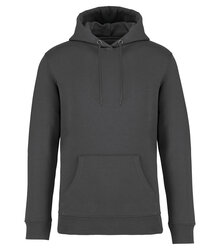 Native-Spirit_Unisex-hooded-sweatshirt-350-gsm_NS401_IRONGREY