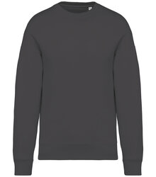 Native-Spirit_Unisex-oversized-sweatshirt-300gsm_NS407_IRONGREY
