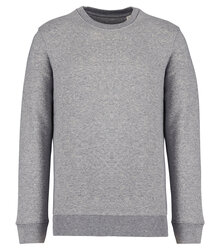 Native-Spirit_Unisex-sweatshirt-350-gsm_NS400_MOONGREYHEATHER