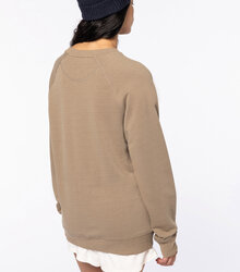 Native-Spirit_Unisex-sweatshirt-with-raglan-sleeves-300gsm_NS423-7_2022