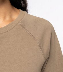 Native-Spirit_Unisex-sweatshirt-with-raglan-sleeves-300gsm_NS423-9_2022