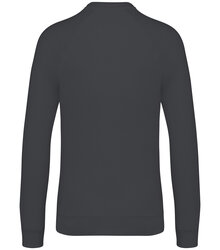 Native-Spirit_Unisex-sweatshirt-with-raglan-sleeves-300gsm_NS423-B_IRONGREY