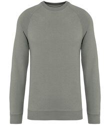 Native-Spirit_Unisex-sweatshirt-with-raglan-sleeves-300gsm_NS423_ALMONDGREEN