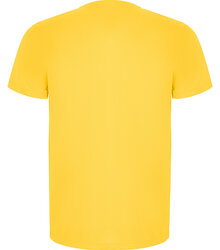 Roly_T-shirt-Imola_CA0427_003-yellow_back